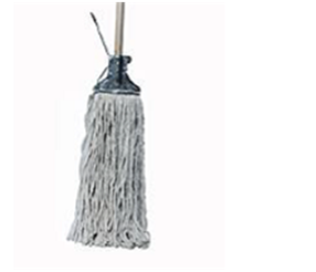 Fan Mop 1