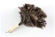 Feather Duster